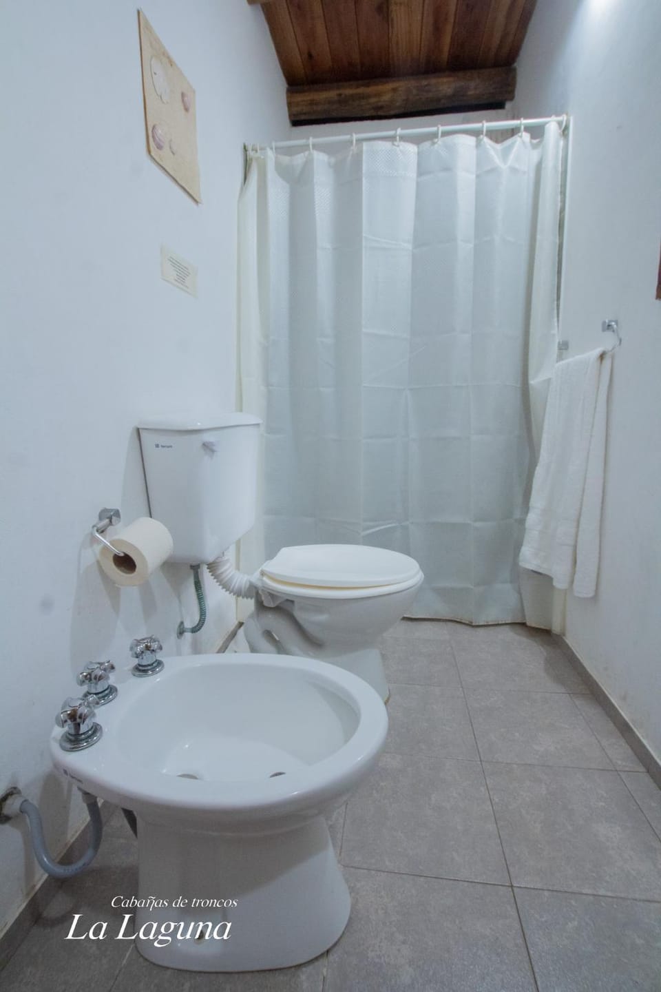 Shower, Bathroom, bidet
