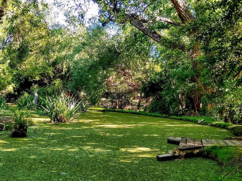 Natural landscape, Garden