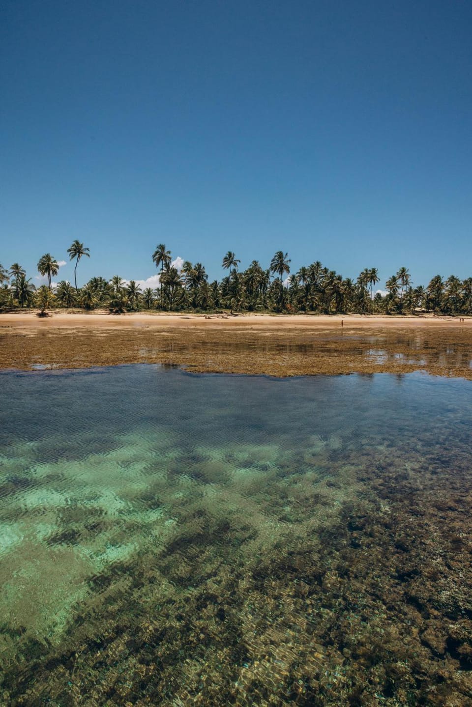 Natural landscape, Beach