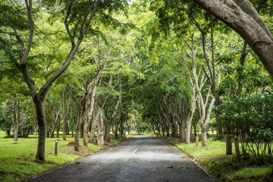 Natural landscape