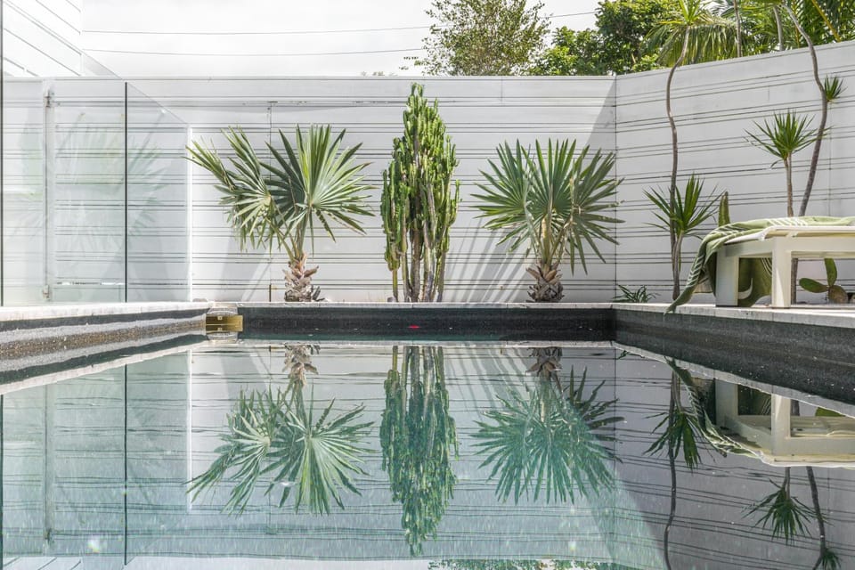 Swimming pool, Swimming pool