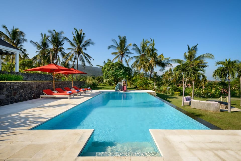 Garden, Garden view, Pool view, Swimming pool, Swimming pool, sunbed
