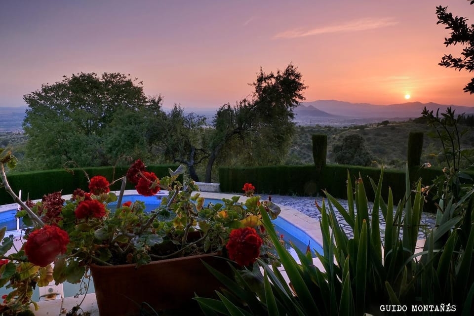 Off site, Natural landscape, Swimming pool, Sunset