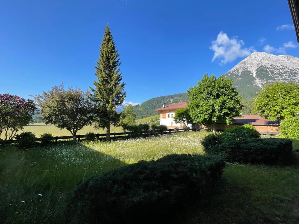Spring, Natural landscape, Mountain view