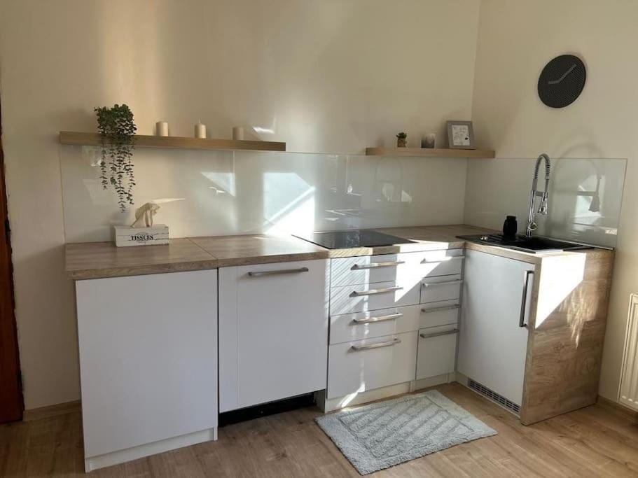 Kitchen or kitchenette, dishwasher, stove