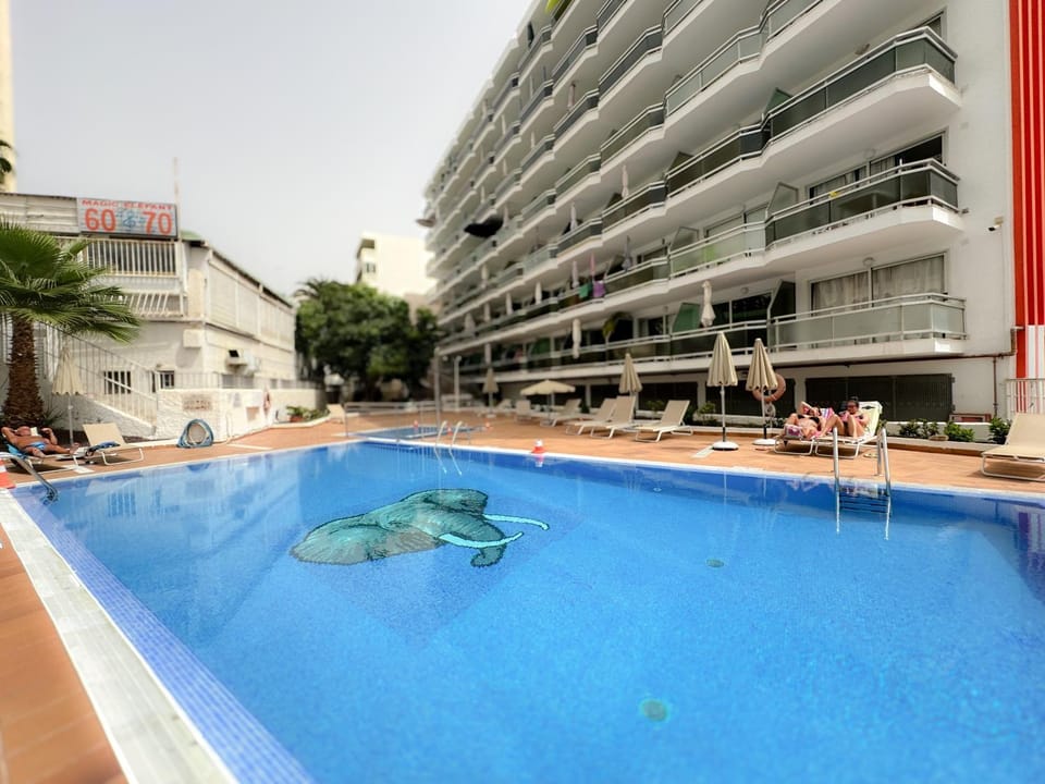 Day, Pool view, Swimming pool