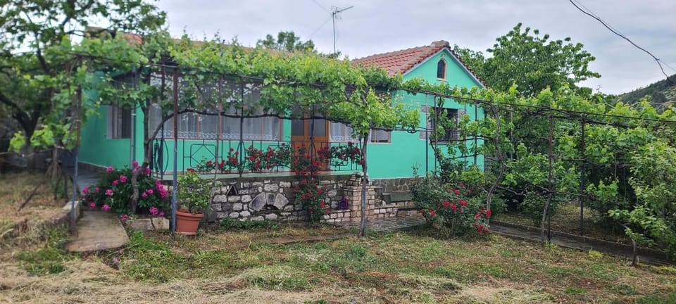 Property building, Garden, Garden view