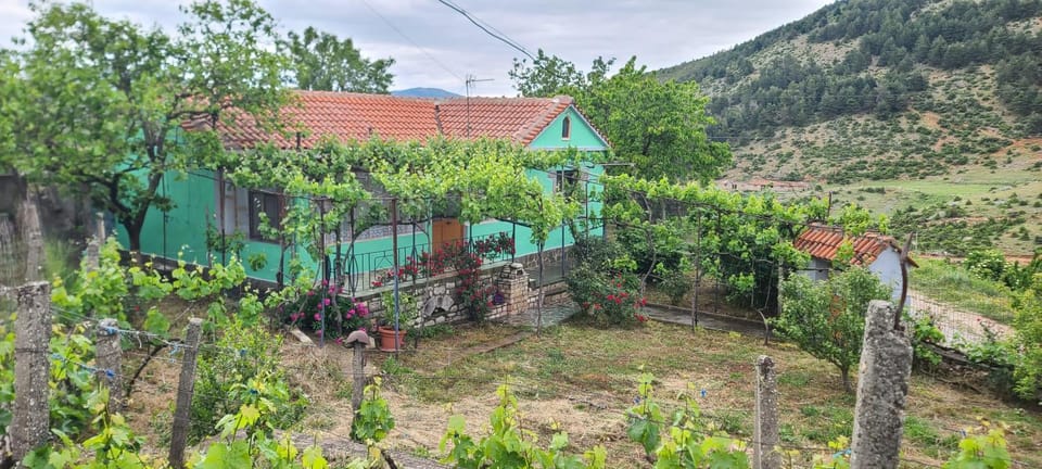 Garden, Garden view