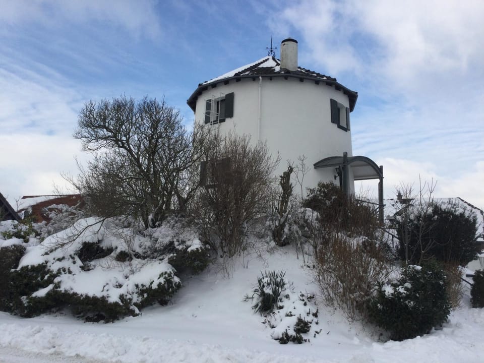 De Witte Molen Kranenburg Bed and Breakfast in North Brabant (province)