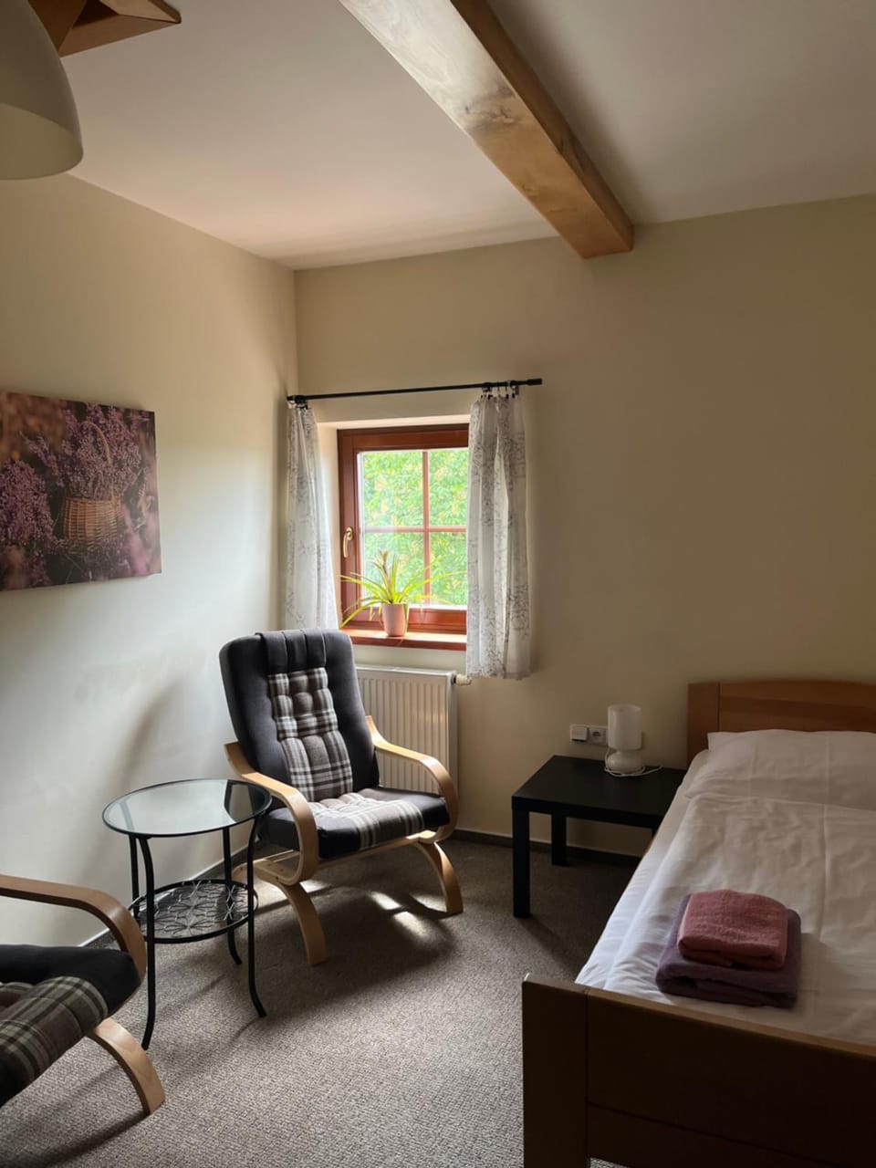Pension U Lyžaře Bed and Breakfast in South Moravian Region