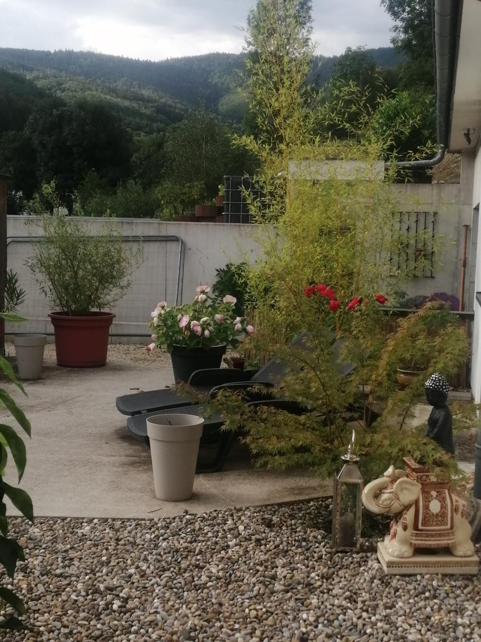 l'écrin des biches Bed and Breakfast in Vosges