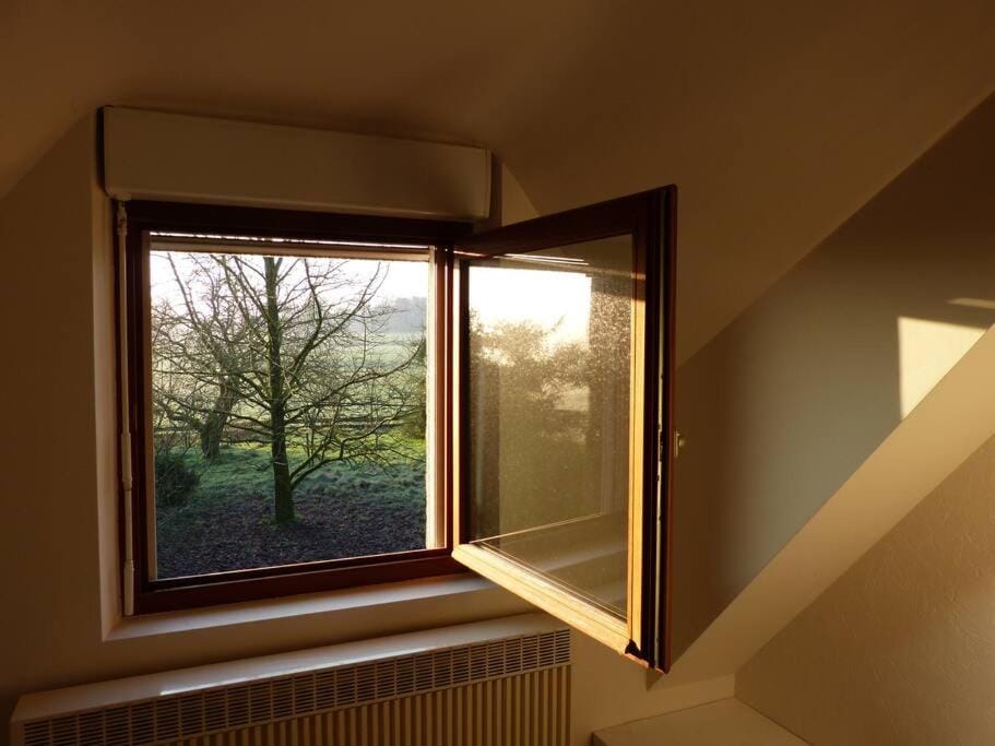 Studio dans une chaumière de caractère Apartment in Brittany
