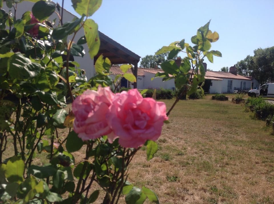 Ferme Auberge L'Ile Sauvage Bed and Breakfast in Pays de la Loire