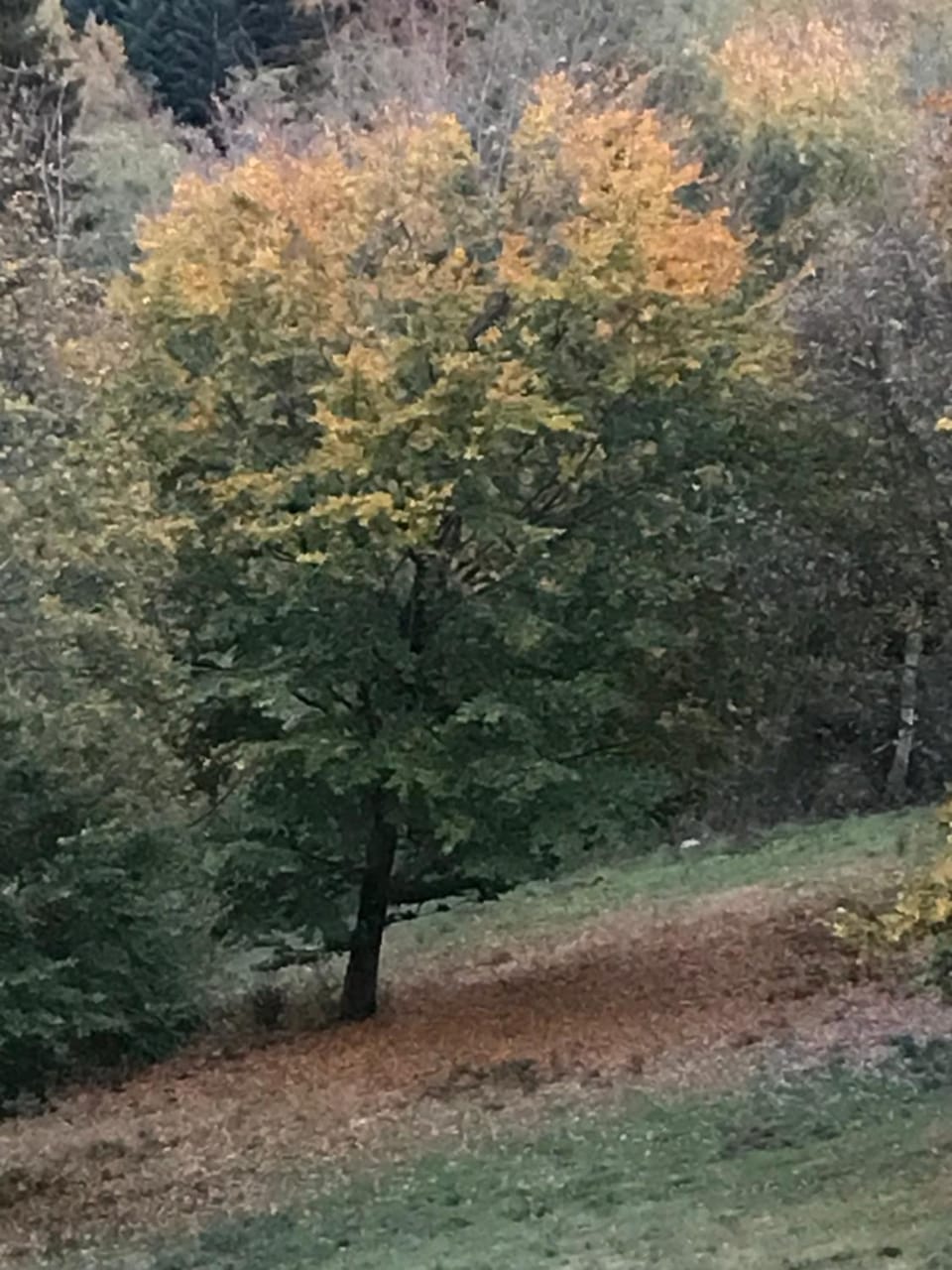 Day