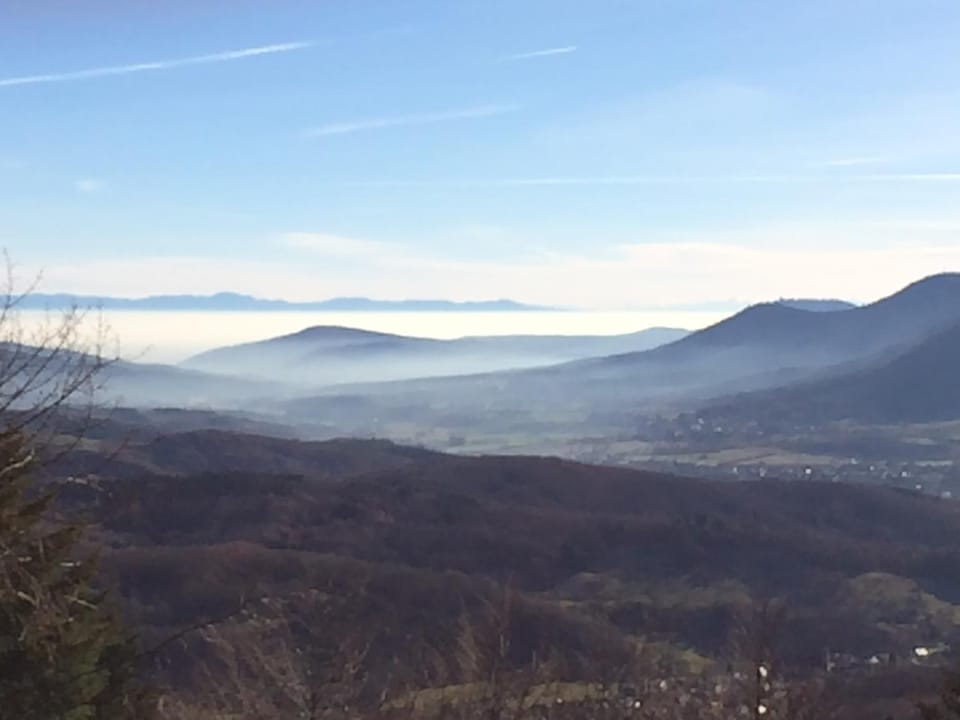 Natural landscape