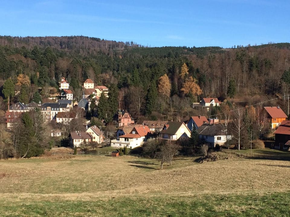 Natural landscape