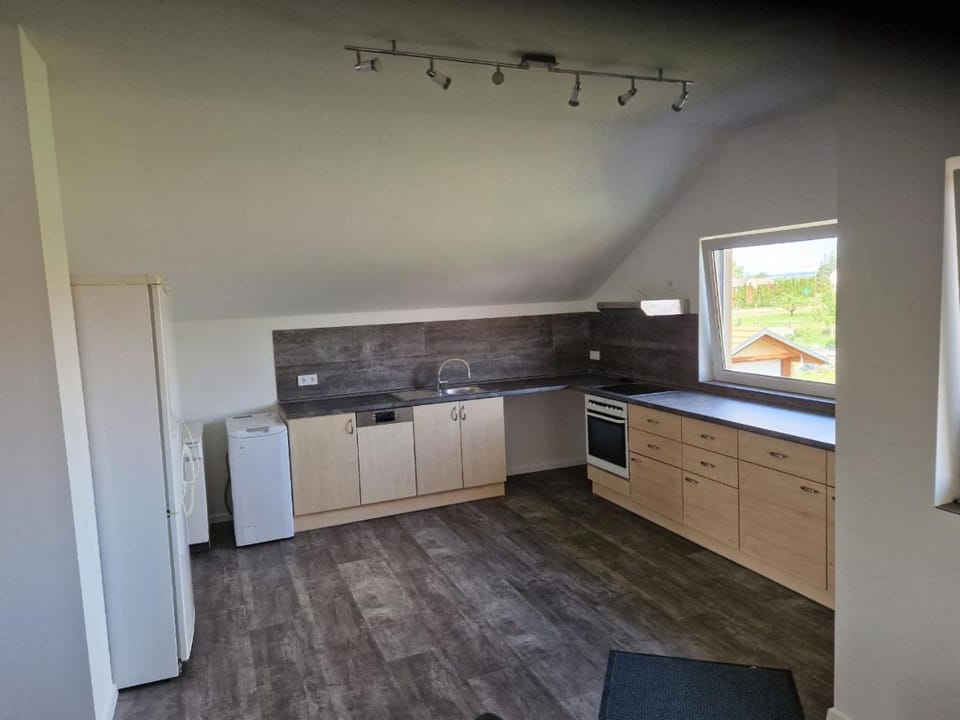 Kitchen or kitchenette, dishwasher, stove