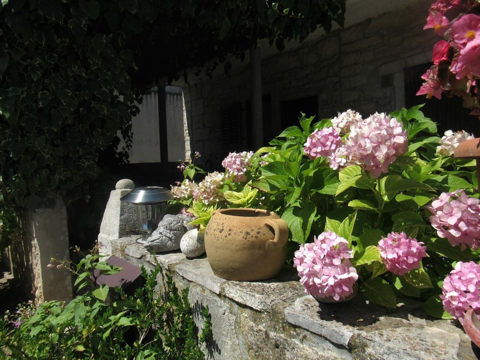 Garden view