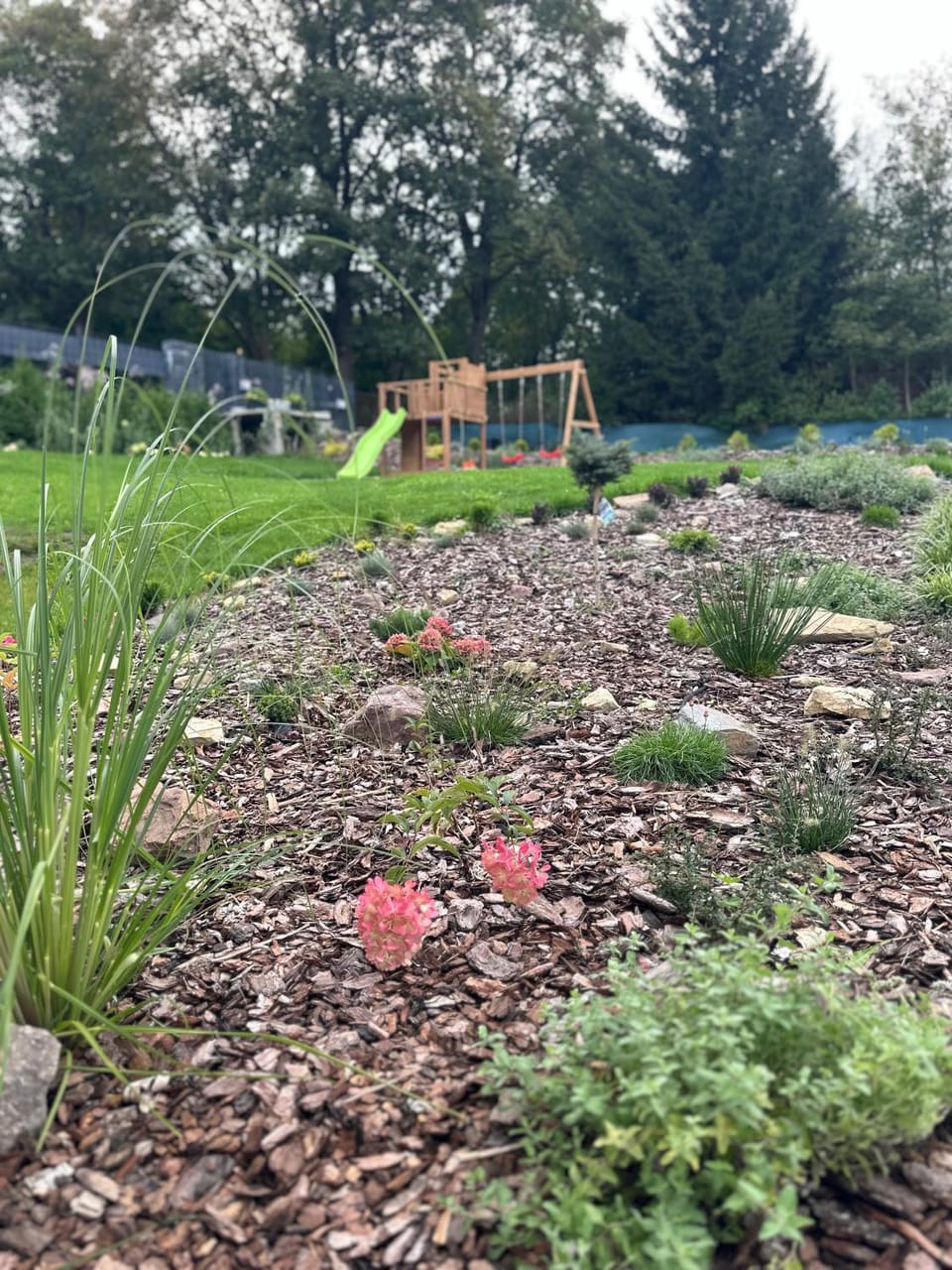 Day, Natural landscape, Garden