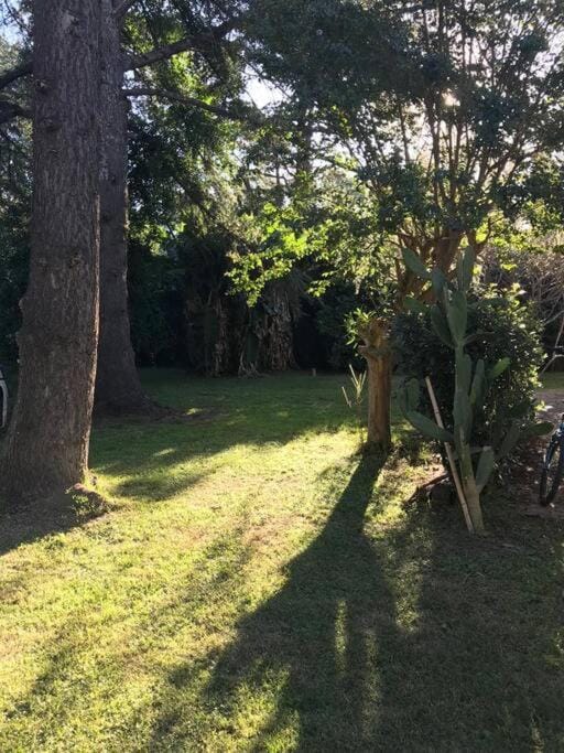 Natural landscape, Garden view