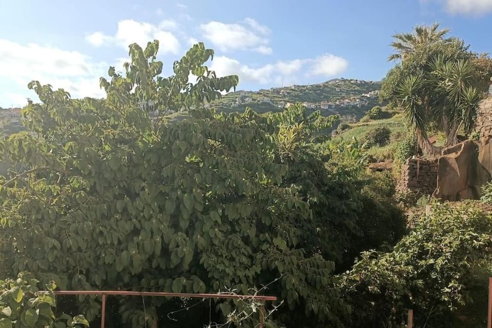 Casa Bela Vista Studio 2 Apartment in Madeira District