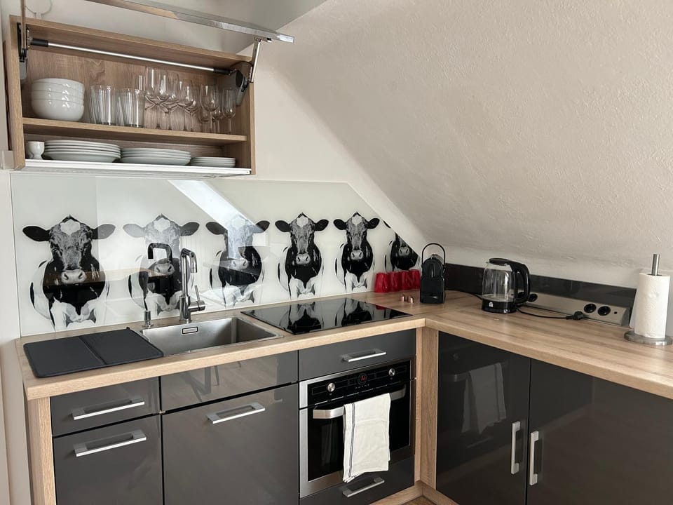 Kitchen or kitchenette, kitchen