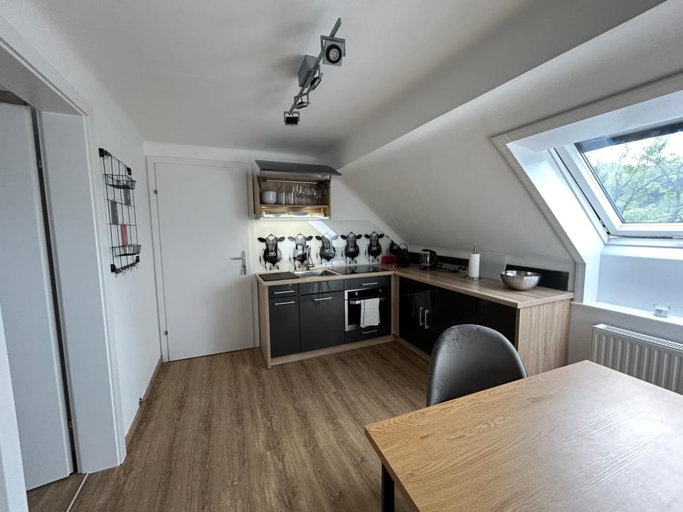 Kitchen or kitchenette, kitchen
