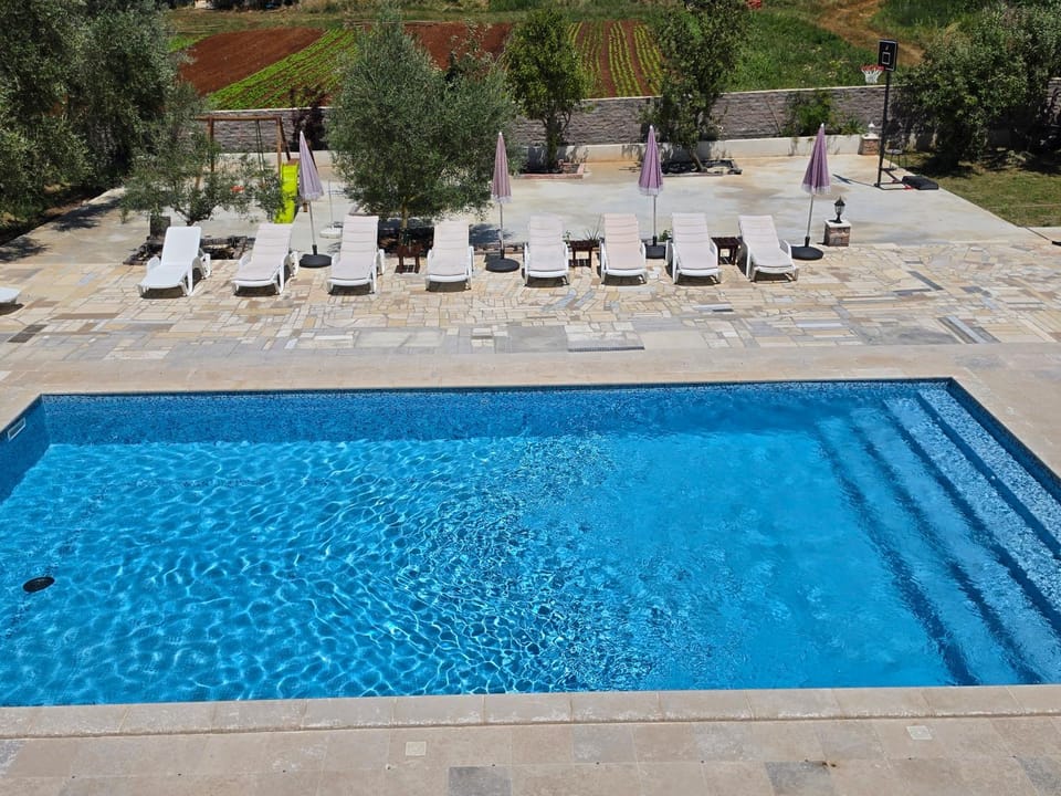 Day, Pool view, Swimming pool, sunbed