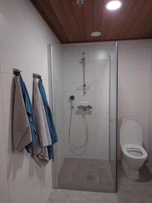 Shower, Toilet, Bathroom, towels