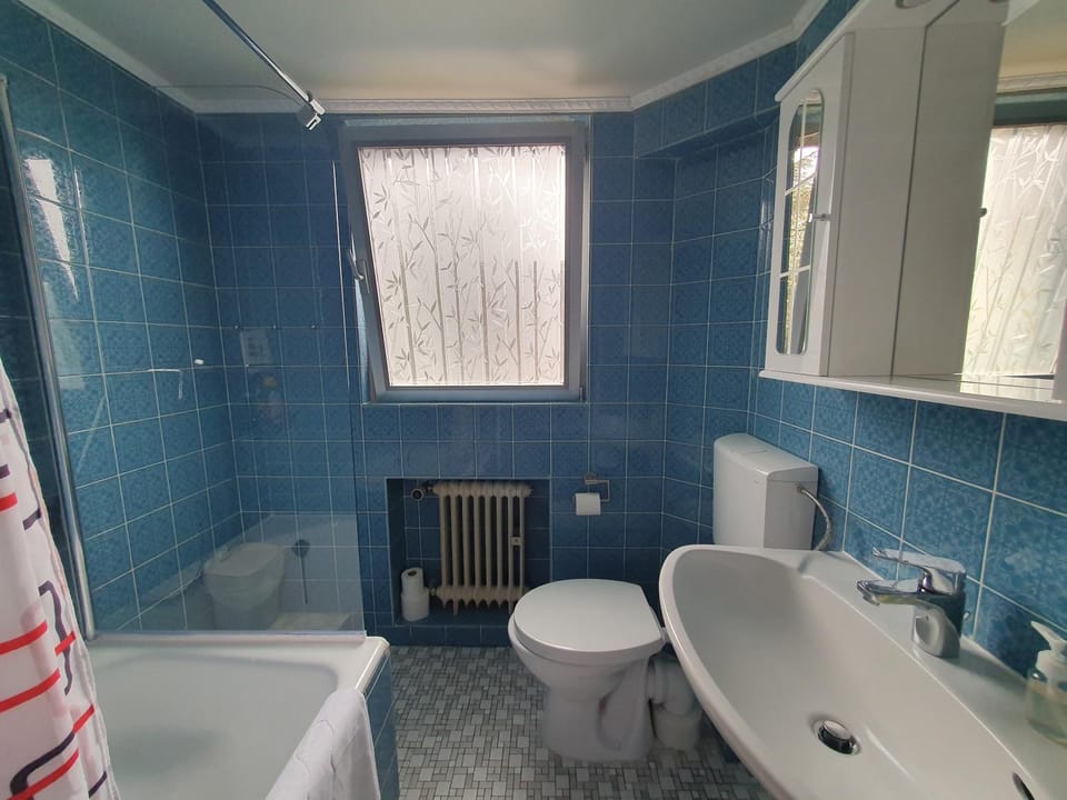 Toilet, Bath, hair dryier, soundproof, towels