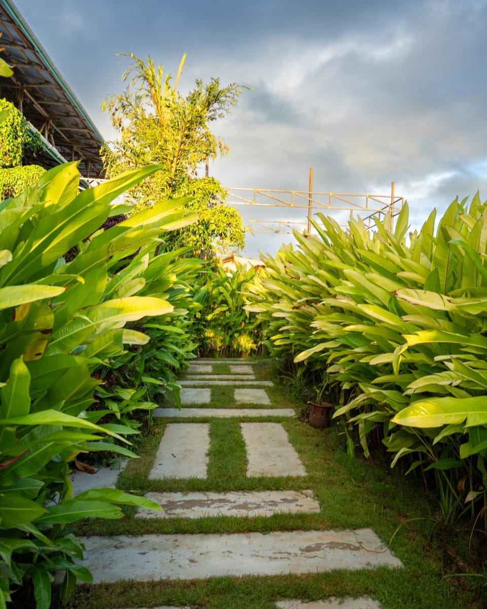 Garden view