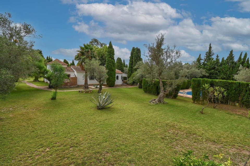 Garden, Swimming pool