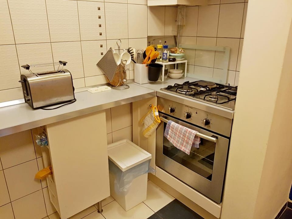 Apartment Lisinski S Apartment in City of Zagreb