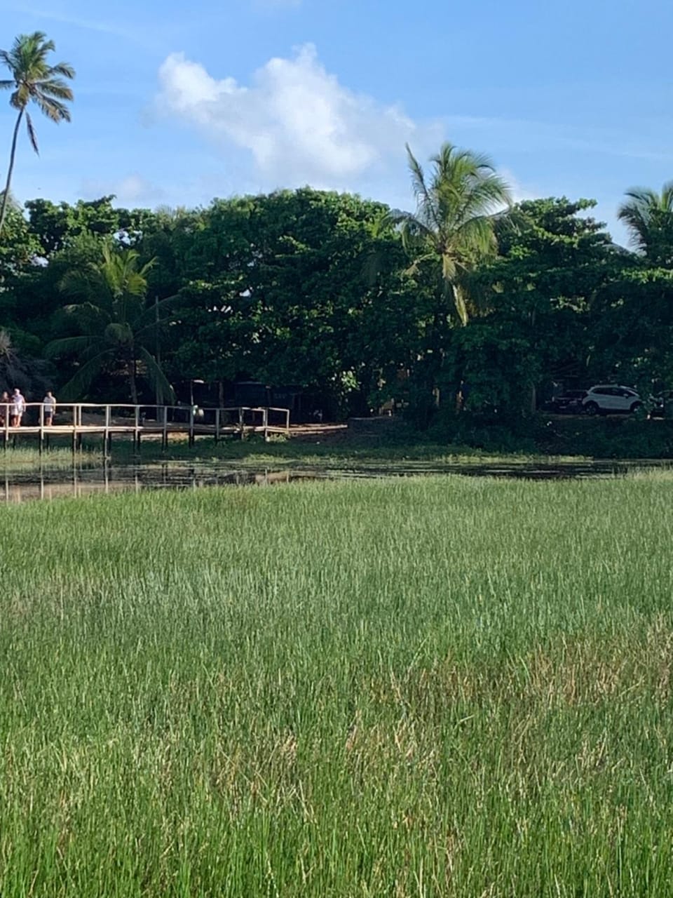 Cabana Juriti Campground/ 
RV Resort in Arembepe