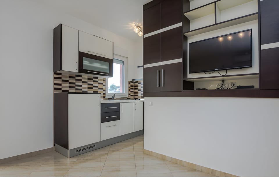 Kitchen or kitchenette, dishwasher, minibar, stove