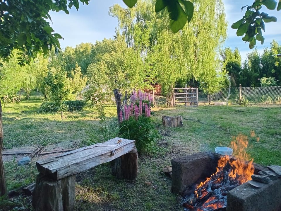 Patio, Garden view, Garden view, Parking, stove