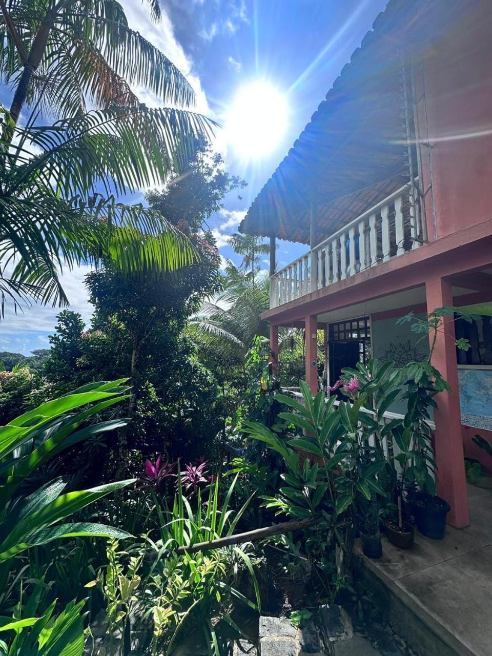 View (from property/room)