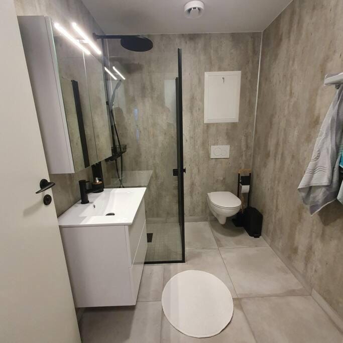 Shower, Toilet, Bathroom, towels