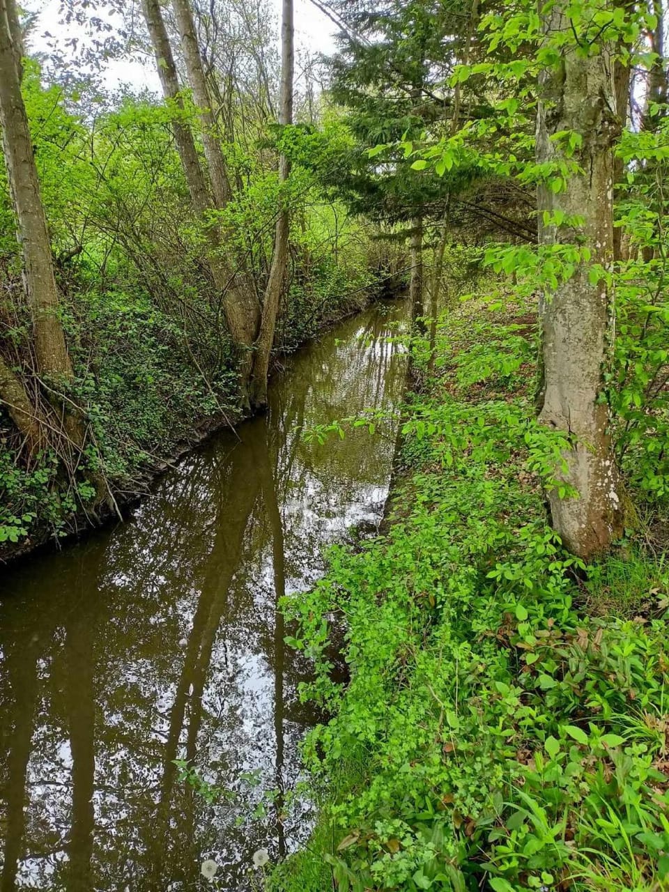 River view