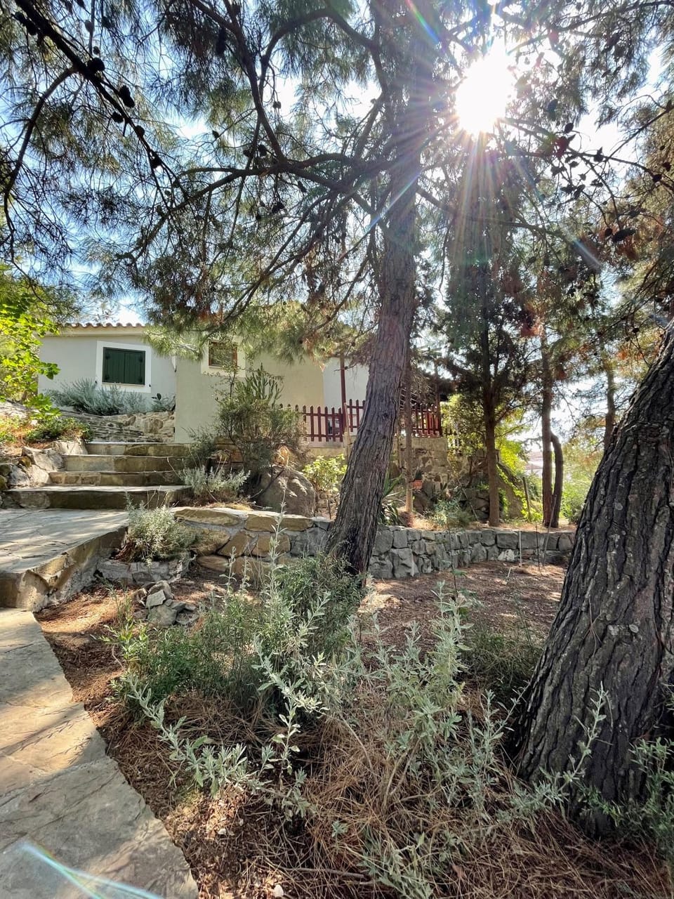 Property building, Spring, Day, Natural landscape, Garden, Garden view