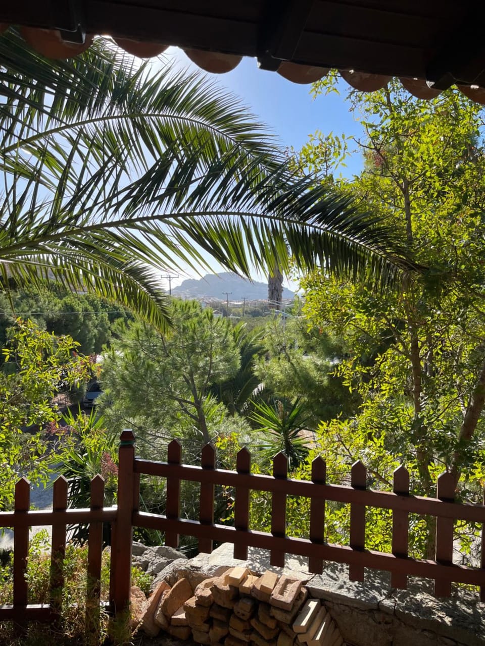 View (from property/room)