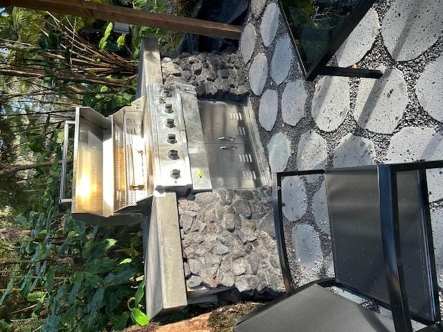 Anthurium Cottage House in Volcano