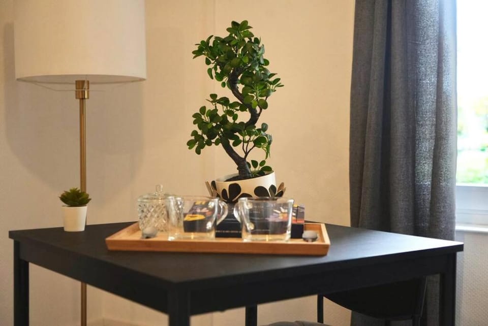 Le temple du calme Apartment in Metz