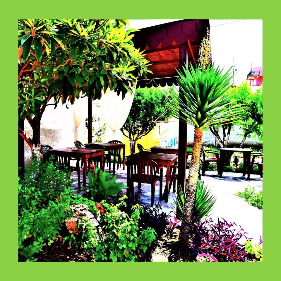 Garden view