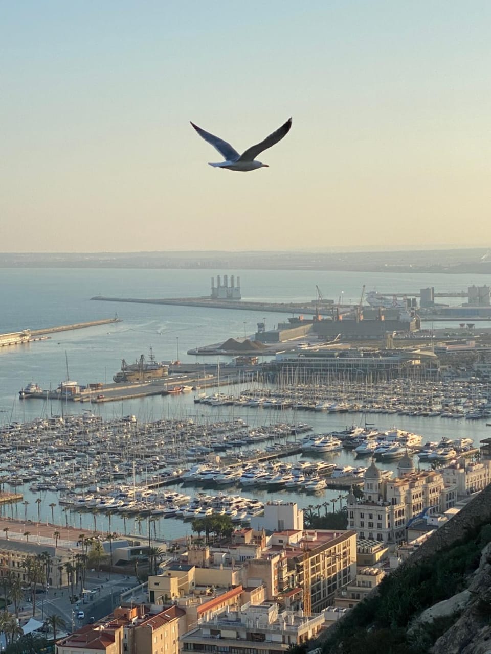 Apartamento Santa Maria Apartment in Alicante