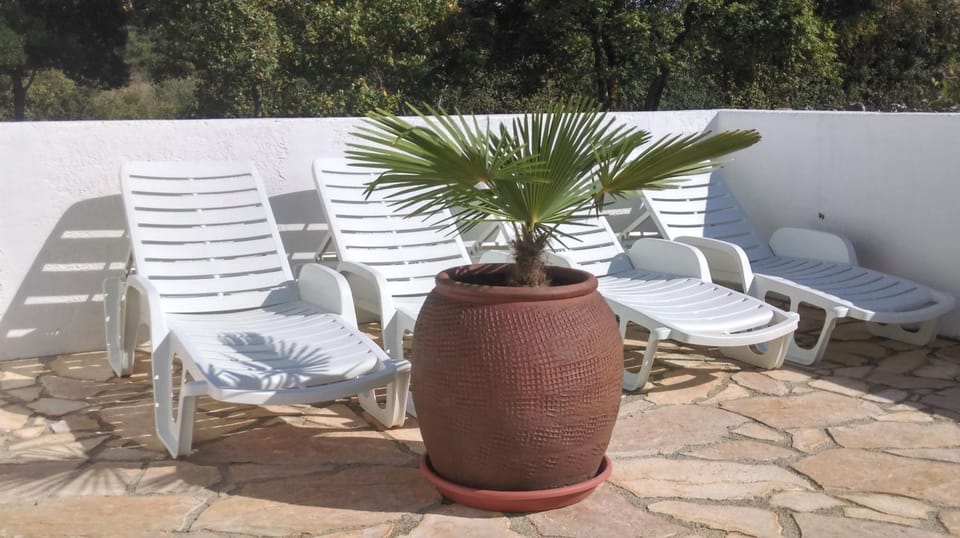 Patio, Balcony/Terrace, sunbed