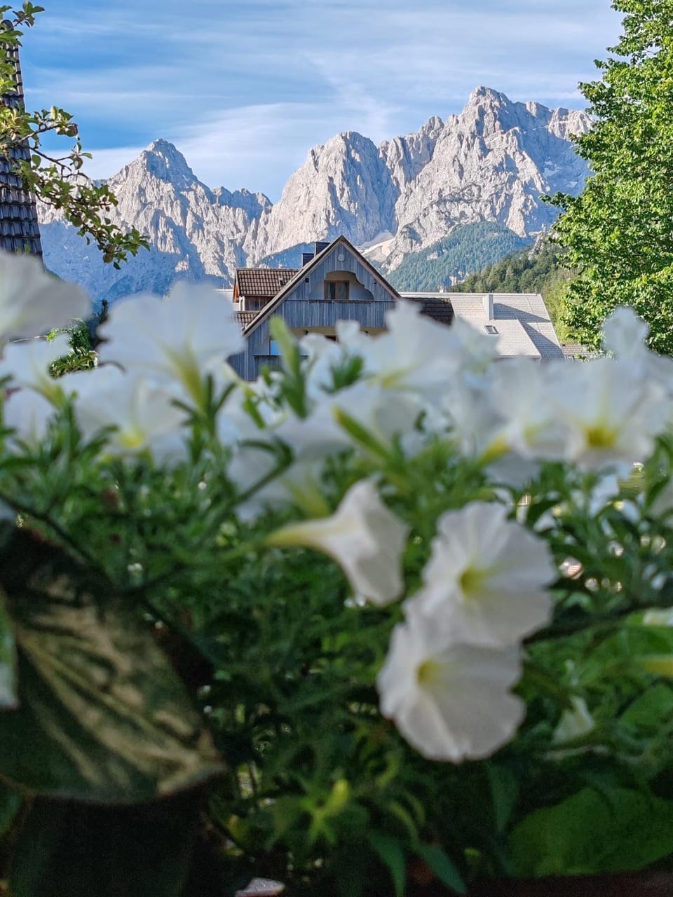 Day, Natural landscape, Mountain view