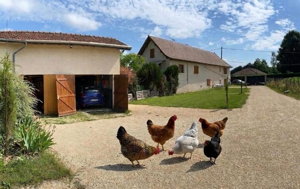 Aaah la campagne. . . Apartment in Auvergne-Rhône-Alpes