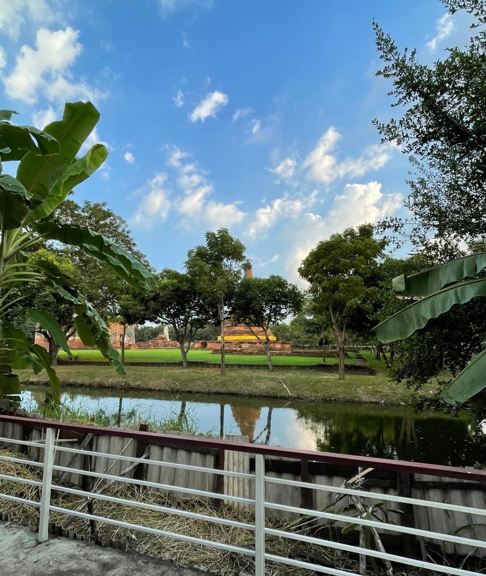 View (from property/room)