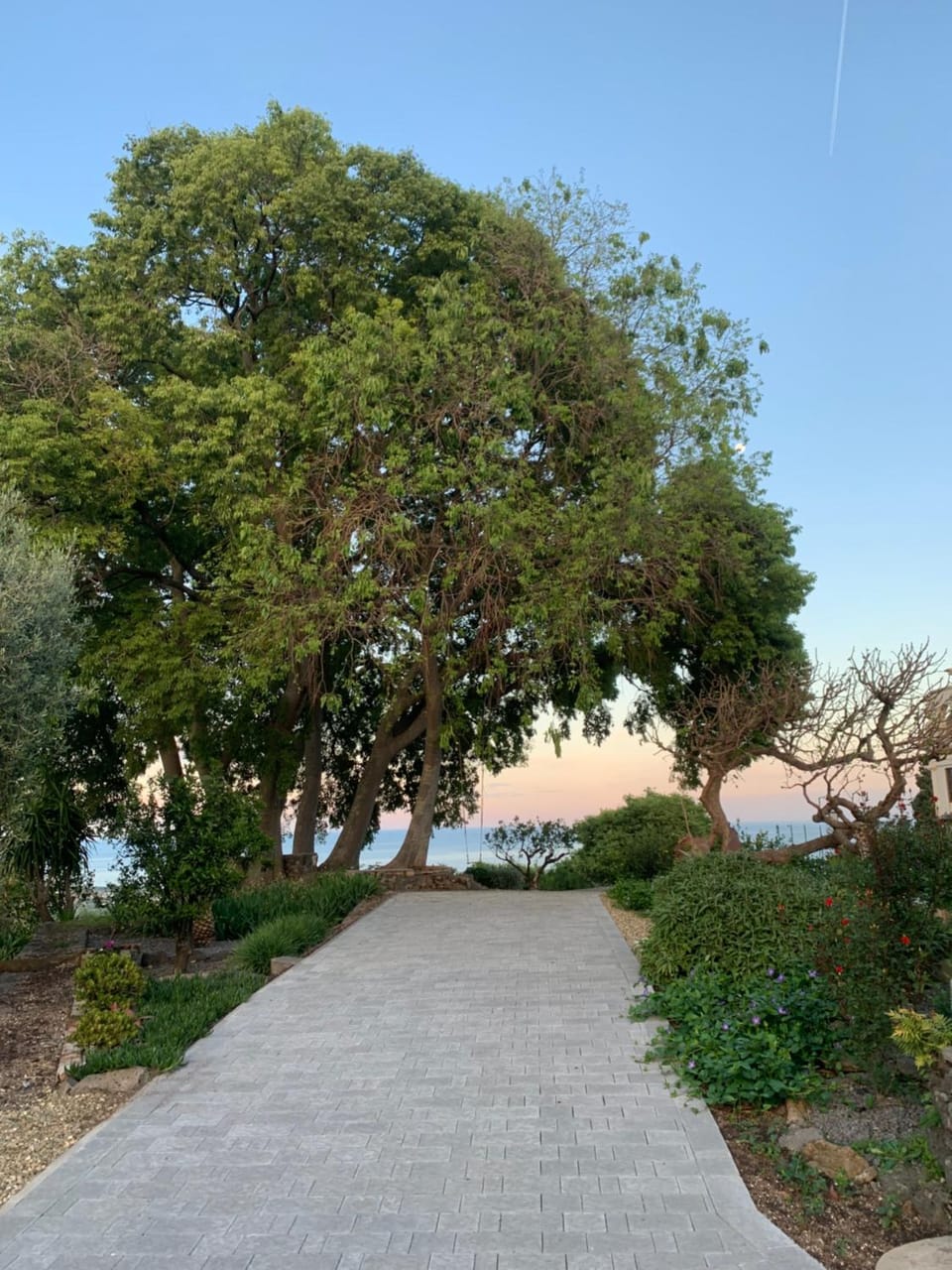 Garden view